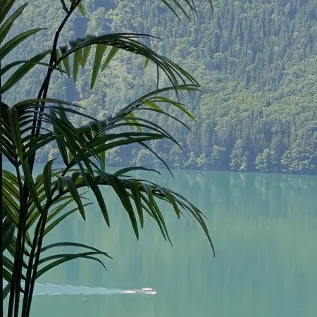 Modern House In The Woods With A View Of Millstaettersee *