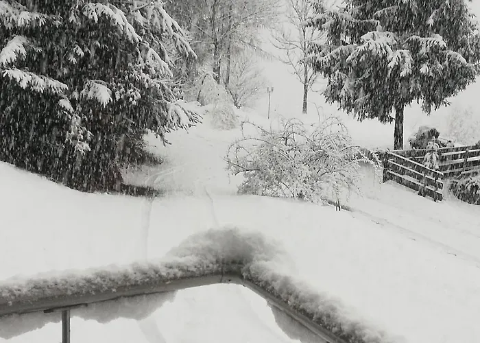 Modern House In The Woods With A View Of Millstaettersee Villa Millstatt