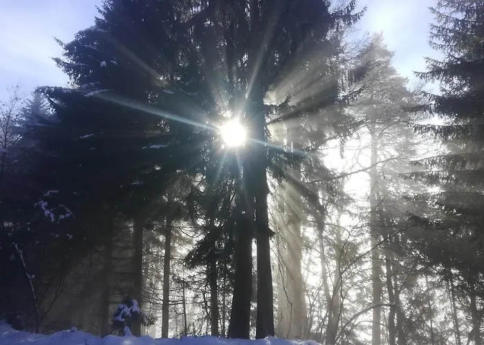 Villa Modern House In The Woods With A View Of Millstaettersee